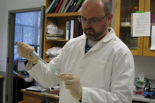 Dr. Fogel working in the lab.