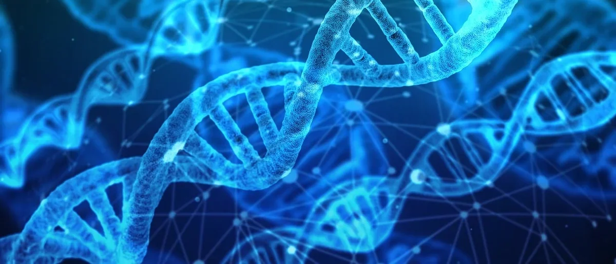 Decorative DNA Double Helix