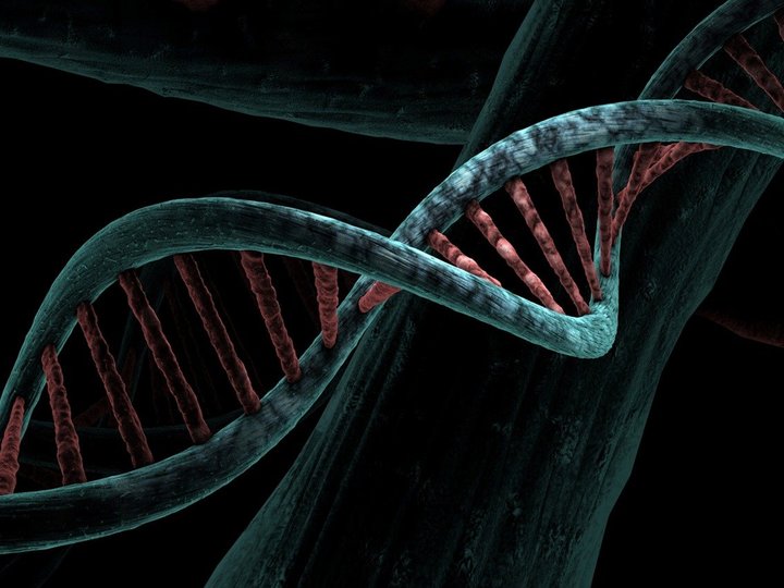Illustration of the DNA double helix.